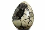 Polished Dragon Egg Septarian Geode - Free-Standing #356166-2